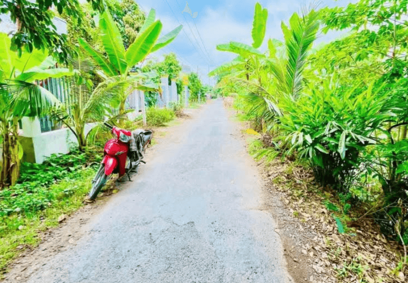 Giảm Giá Mạnh Đất Ruộng Phường Bình Đức An Giang