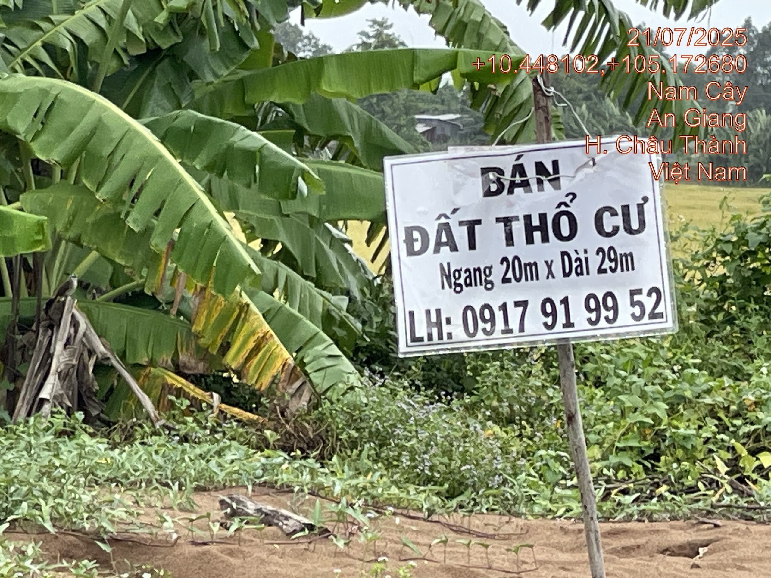Bán Đất thổ cư tại Vĩnh An