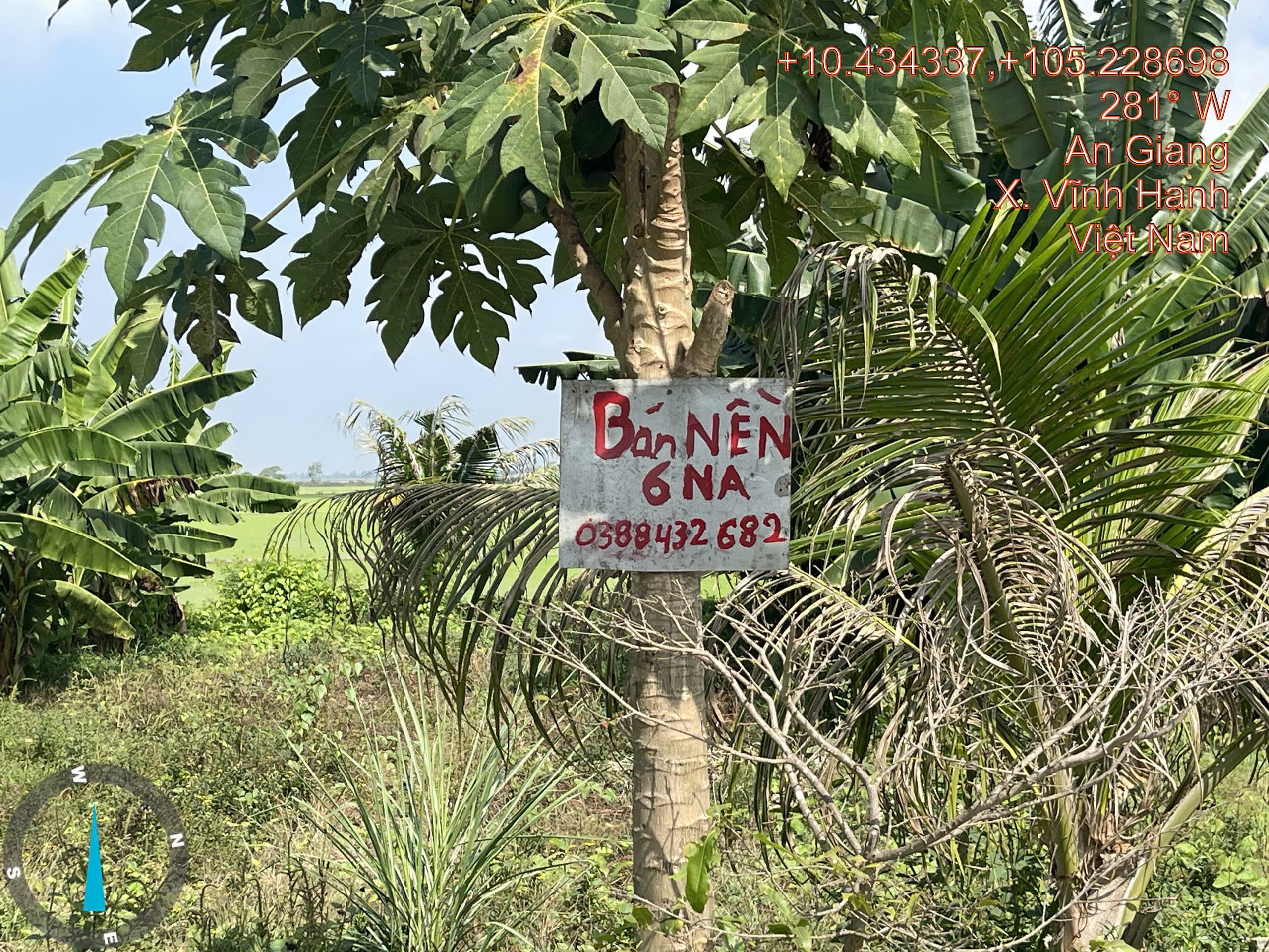 Bán nền Vĩnh Hanh