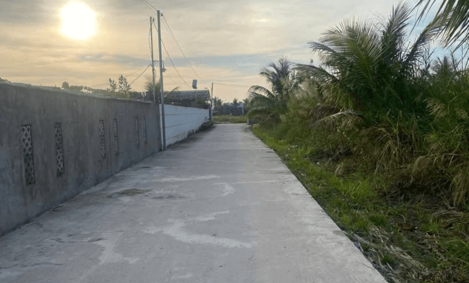 Nhà vườn nhánh đường bùi viện lộ lớn ô tô vào tới chỗ (nhà nắm chủ ae có khách chia 1%))
