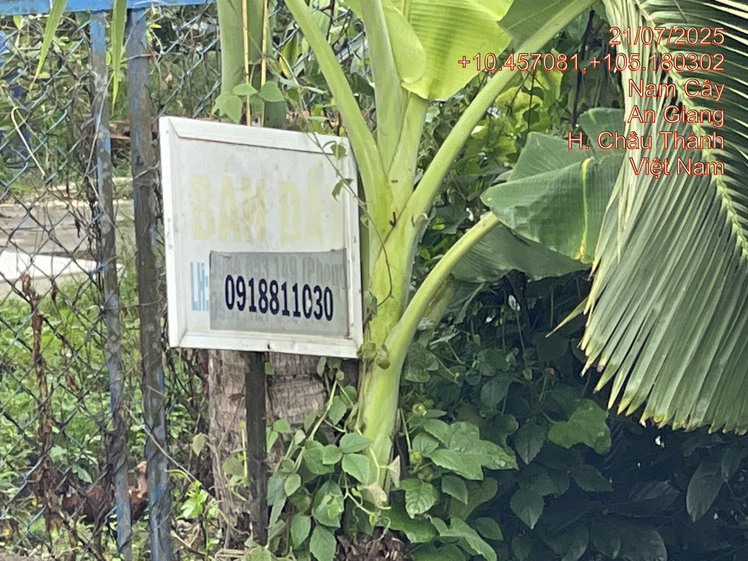 Bán đất tại xã Vĩnh An