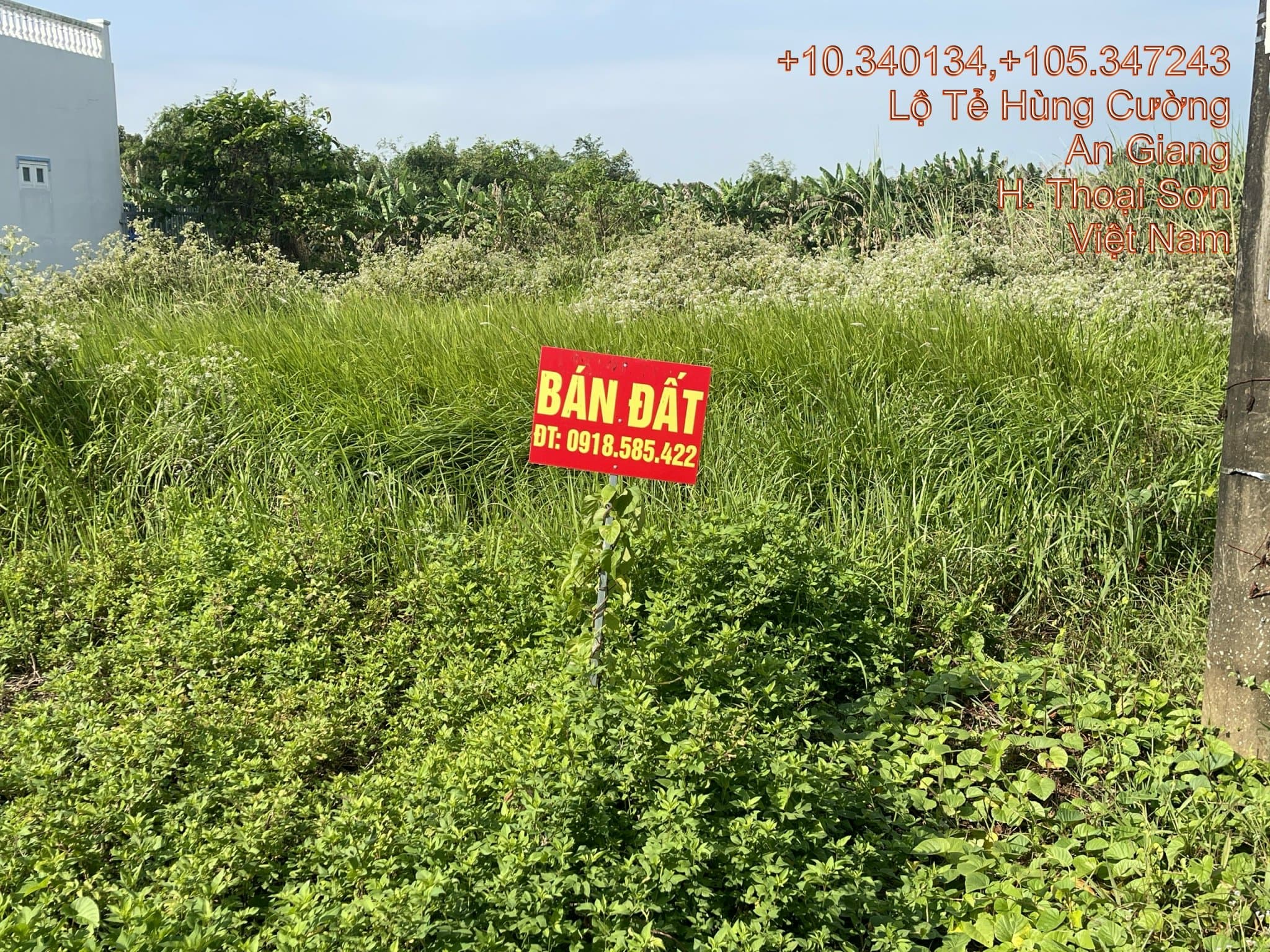 Bán đất lộ tẻ Hùng Cường, Vĩnh Trạch